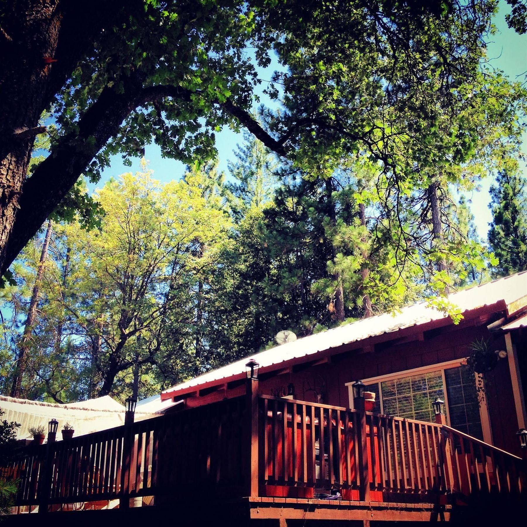 The Red Rooster Lodge 콜터빌 외부 사진